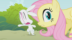 Size: 1280x720 | Tagged: safe, screencap, angel bunny, fluttershy, pegasus, pony, rabbit, dragonshy, g4, season 1, animal, duo, faic, female, great moments in animation, mare, nightmare fuel, smear frame, wat