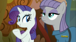 Size: 2505x1393 | Tagged: safe, screencap, maud pie, rarity, g4, the gift of the maud pie, discovery family logo