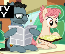 Size: 1194x990 | Tagged: safe, screencap, down under, raspberry vinaigrette, earth pony, pony, g4, the gift of the maud pie, female, glasses, male, mare, newspaper, sitting, stallion, train, tv-y