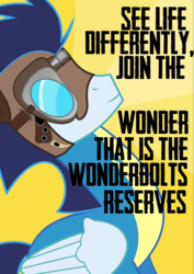 Size: 1488x2105 | Tagged: safe, artist:eddie-shadows, soarin', pony, g4, male, poster, propaganda, solo, wonderbolts