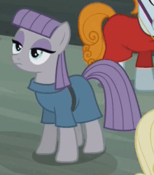 Size: 473x537 | Tagged: safe, screencap, joan pommelway, maud pie, earth pony, pony, g4, season 6, the gift of the maud pie, animated, background pony, blinking, expressionless face, female, loop, mare, maud being maud, maud pie may or may not be amused, solo focus
