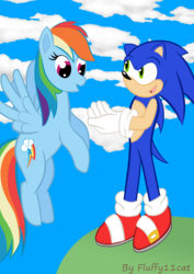 Size: 1024x1446 | Tagged: safe, artist:fluffy11cat, rainbow dash, g4, crossover, male, sonic the hedgehog, sonic the hedgehog (series)