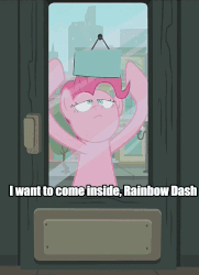 Size: 743x1024 | Tagged: safe, screencap, pinkie pie, g4, the gift of the maud pie, animated, caption, cropped, door, female, image macro, iwtcird, knocking, loop, meme