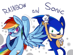 Size: 6000x4500 | Tagged: safe, artist:extradan, rainbow dash, g4, absurd resolution, crossover, male, simple background, sonic the hedgehog, sonic the hedgehog (series), transparent background