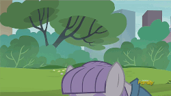 Size: 960x540 | Tagged: safe, screencap, maud pie, g4, the gift of the maud pie, animated, discovery family logo, female, loop, male, wrapping paper