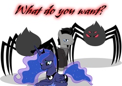 Size: 2048x1433 | Tagged: artist needed, safe, edit, princess luna, spider, g4, associates, babylon 5, crossover, mr morden, offscreen character, photoshop, ponified, question, shadows, this will end in tears, what do you want