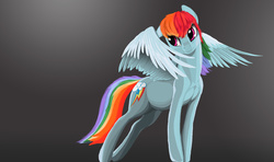 Size: 5200x3080 | Tagged: safe, artist:lunebat, rainbow dash, g4, abstract background, female, solo