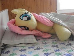 Size: 1984x1488 | Tagged: safe, artist:qtpony, fluttershy, g4, bed, irl, life size, photo, plushie, solo