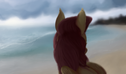 Size: 1627x963 | Tagged: safe, artist:colorlesscupcake, fluttershy, pegasus, pony, g4, beach, bust, female, looking away, ocean, rear view, solo, turned head, wings