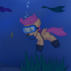 Size: 800x800 | Tagged: safe, artist:zonra, scootaloo, pegasus, pony, seahorse, g4, female, filly, scuba diving, scuba gear, seaweed, underwater