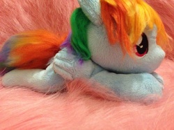 Size: 960x720 | Tagged: safe, artist:staphilea, rainbow dash, pony, g4, beanie (plushie), irl, photo, plushie, prone, solo