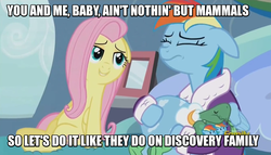 Size: 1249x713 | Tagged: safe, edit, edited screencap, screencap, fluttershy, rainbow dash, tank, pegasus, pony, g4, tanks for the memories, bathrobe, bedroom eyes, bloodhound gang, caption, clothes, dashie slippers, discovery family, discovery family logo, female, image macro, innuendo, lesbian, mare, meme, robe, seduction, ship:flutterdash, shipping, slippers, song reference, tank slippers, the bad touch