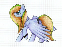 Size: 1024x787 | Tagged: safe, artist:mufflinka, oc, oc only, pegasus, pony, graph paper, lined paper, solo, traditional art