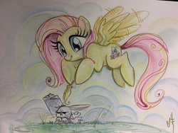 Size: 1080x810 | Tagged: safe, artist:sara richard, angel bunny, fluttershy, g4, angry, feather, flying, rain, traditional art