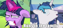Size: 2000x895 | Tagged: safe, edit, edited screencap, screencap, shining armor, twilight sparkle, g4, cracked armor, cropped, derp, insanity, mental breakdown, runs in the family, siblings, text, twilight snapple