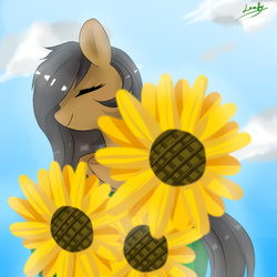 Size: 850x850 | Tagged: safe, artist:leafywind, oc, oc only, pony, solo, sunflower