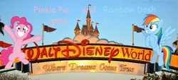 Size: 800x362 | Tagged: safe, pinkie pie, rainbow dash, g4, comic, comic sans, disney, disney world, florida, grammar error, irl, orlando, photo, pinkie pie and rainbow dash goes to disney world, pinkie pie and rainbow dash goes to series, ponies in real life, preview, title card, vector