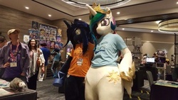 Size: 600x338 | Tagged: safe, artist:kolshica, artist:toki, princess celestia, princess luna, tiberius, human, g4, clothes, cosplay, costume, fursuit, i'm with stupid, irl, irl human, photo, shirt, text on clothing, text on shirt