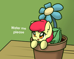 Size: 750x600 | Tagged: safe, artist:arielsbx, apple bloom, bulbasaur, g4, adorabloom, bulb, crossover, cute, female, flower, flower pot, pokémon, solo, tiny