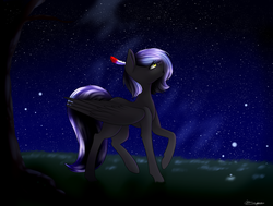 Size: 2640x2000 | Tagged: safe, artist:ohhoneybee, oc, oc only, oc:cloudy night, high res, night