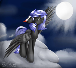 Size: 2118x1879 | Tagged: safe, artist:starletxox, oc, oc only, oc:cloudy night, moon, moonlight, night