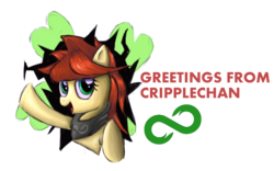 Size: 1280x800 | Tagged: artist needed, safe, oc, oc only, oc:red pone (8chan), /pone/, 4chan, 8chan, bandana, clothes, scarf