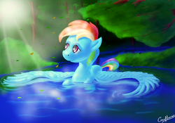 Size: 1024x717 | Tagged: safe, artist:coco-flame, rainbow dash, g4, crepuscular rays, female, forest, looking away, looking up, peaceful, solo, spread wings, swimming, water