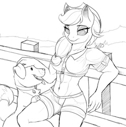 Size: 1280x1290 | Tagged: safe, artist:evehly, applejack, winona, anthro, g4, abs, sketch, wip