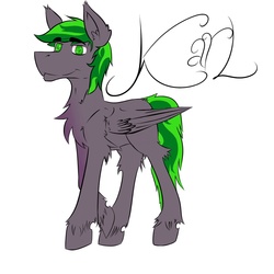 Size: 1200x1200 | Tagged: safe, oc, oc only, oc:karl, pegasus, pony, green eyes