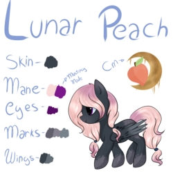 Size: 1024x1024 | Tagged: safe, artist:rubyblossomva, oc, oc only, oc:lunar peach, pegasus, pony, colored wings, gradient wings, markings, ponytail, reference sheet, solo