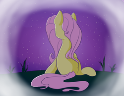 Size: 1024x798 | Tagged: safe, artist:fuckingflutterdash, fluttershy, pegasus, pony, g4, female, night, rear view, sitting, solo, stars