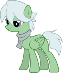 Size: 2426x2835 | Tagged: safe, artist:duskthebatpack, oc, oc only, oc:emerald bulwark, pegasus, pony, clothes, female, high res, mare, scarf, simple background, solo, transparent background, vector