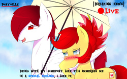 Size: 1920x1200 | Tagged: safe, artist:laptop-pone, oc, oc only, oc:rosa blossomheart, earth pony, pegasus, pony, blushing, special feeling, umbrella