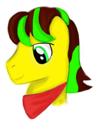 Size: 726x930 | Tagged: safe, artist:lordswinton, oc, oc only, earth pony, pony, bust, commission, portrait, solo