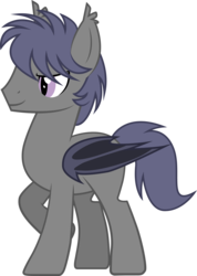 Size: 2237x3145 | Tagged: safe, artist:duskthebatpack, oc, oc only, oc:nightseeker, bat pony, pony, high res, male, simple background, solo, stallion, transparent background, vector