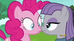 Size: 710x397 | Tagged: safe, screencap, maud pie, pinkie pie, earth pony, pony, g4, the gift of the maud pie, animated, boop, discovery family logo, eye contact, female, frown, nose wrinkle, noseboop, out of context, wide eyes
