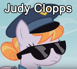 Size: 475x429 | Tagged: safe, copper top, earth pony, pony, g4, the gift of the maud pie, disney, image macro, judy hopps, meme, police, police pony, policemare, pun, sunglasses, zootopia