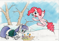 Size: 2000x1414 | Tagged: safe, artist:ecmonkey, maud pie, pinkie pie, earth pony, pony, g4, clothes, duo, female, flower, jacket, jumping, saddle bag, siblings, sisters, snow, spring, traditional art, tree, underhoof