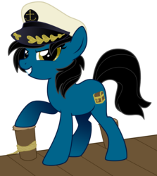 Size: 2582x2897 | Tagged: safe, artist:lostinthetrees, oc, oc only, oc:captain doubloon, high res, pier, solo