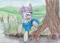 Size: 2338x1696 | Tagged: safe, artist:scribblepwn3, maud pie, earth pony, pony, g4, female, pen drawing, scenery, solo, traditional art, watercolor painting
