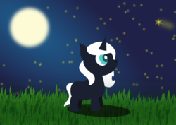 Size: 1024x724 | Tagged: safe, artist:lordswinton, oc, oc only, contest, night, night sky, solo, stars