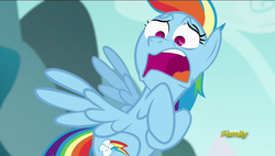 Size: 1920x1088 | Tagged: safe, screencap, rainbow dash, g4, no second prances, discovery family logo, faic