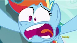 Size: 1920x1088 | Tagged: safe, screencap, rainbow dash, g4, no second prances, discovery family logo, expression, faic, female, rainbow dash is best facemaker, shock, solo, surprised