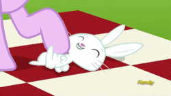 Size: 500x281 | Tagged: safe, screencap, angel bunny, starlight glimmer, g4, no second prances, angelbetes, animated, bellyrubs, cute, discovery family logo, weapons-grade cute