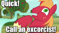 Size: 500x281 | Tagged: safe, edit, edited screencap, screencap, big macintosh, earth pony, pony, g4, no second prances, gif, image macro, male, meme, non-animated gif, solo, stallion