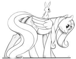 Size: 5500x4241 | Tagged: safe, artist:graboiidz, angel bunny, fluttershy, g4, absurd resolution, looking at you, monochrome