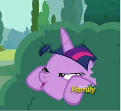 Size: 439x402 | Tagged: safe, screencap, starlight glimmer, twilight sparkle, alicorn, pony, g4, no second prances, are you a wizard, bush, bushicorn, discovery family logo, faic, female, lidded eyes, lurking, mare, solo, twilight bushel, twilight sparkle (alicorn)