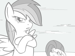 Size: 1024x768 | Tagged: safe, artist:vulapa, fluttershy, rainbow dash, pony, g4, crossed arms, cyoa, cyoa:life in ponyville, glare, irritated, monochrome, sky, story included