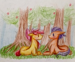 Size: 1024x843 | Tagged: safe, artist:violet241, apple bloom, tender taps, g4, blushing, female, male, shipping, straight, tenderbloom, traditional art