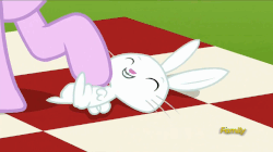 Size: 858x482 | Tagged: safe, screencap, angel bunny, starlight glimmer, pony, rabbit, unicorn, g4, no second prances, season 6, animal, animated, bellyrubs, cute, discovery family logo, eyes closed, female, grin, heart, lidded eyes, looking back, mare, on back, open mouth, petting, raised hoof, smiling, talking, tickling, wide eyes